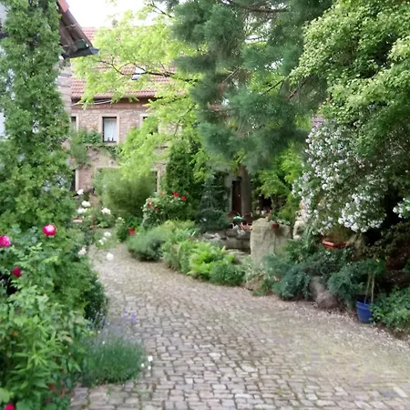 Апартаменты 