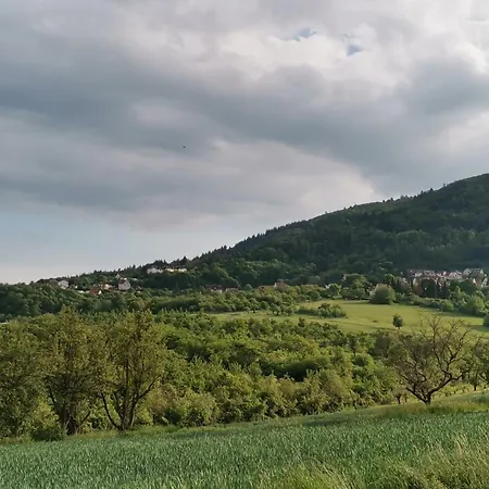 Апартаменты 